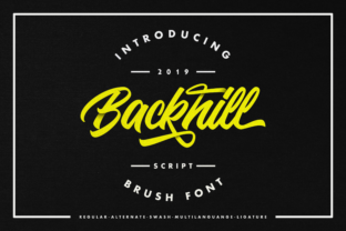 Backhill: The Bold Script Font for Memorable Branding and Digital Campaigns