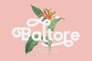 Baltore: A Sans Serif Font for Creative Crafters and Product Designers