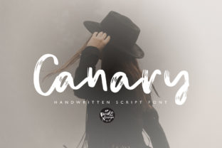 Canary: A Script Handwritten Font for Dynamic Web Design