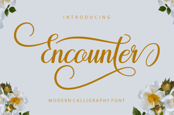 Encounter: A Script Font That Elevates Digital Branding