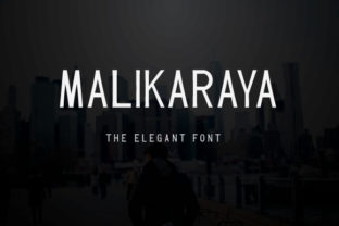 Malikaraya: A Font That Elevates Branding with Clean Modern Style