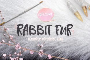 Rabbit Fur Font: A Standout Script Handwritten Choice