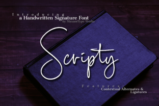 Scripty: A Handwritten Font for Editorial Design